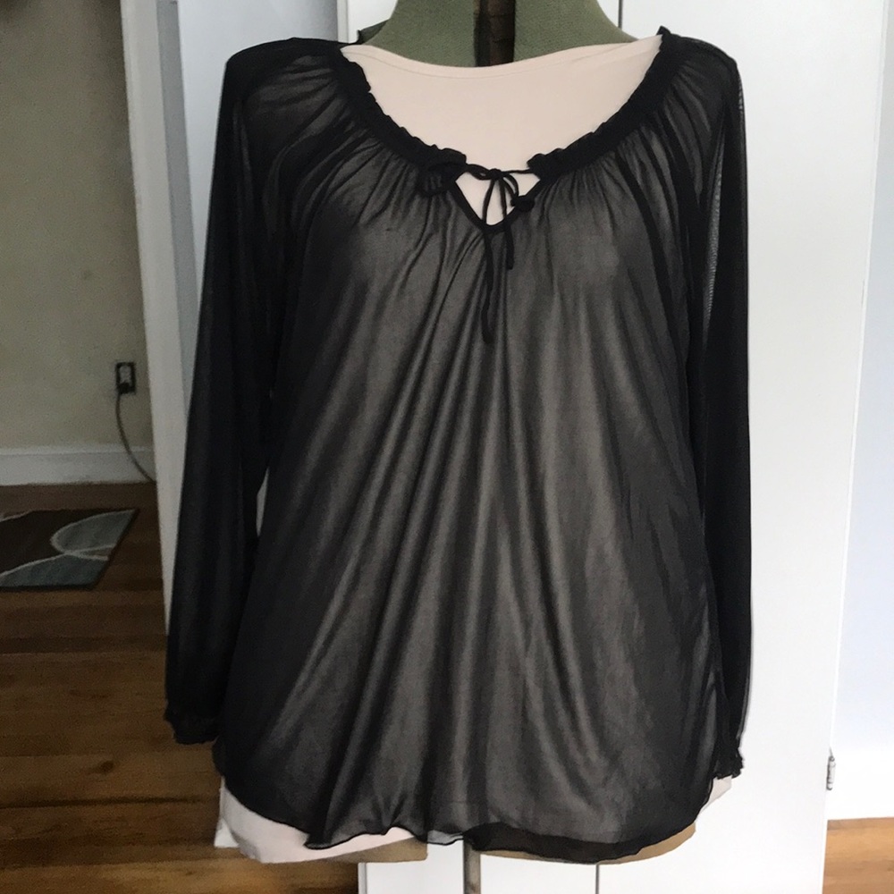 Venezia sheer stretchy top